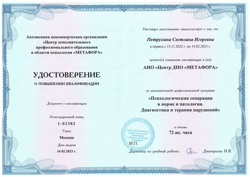 Диплом 6